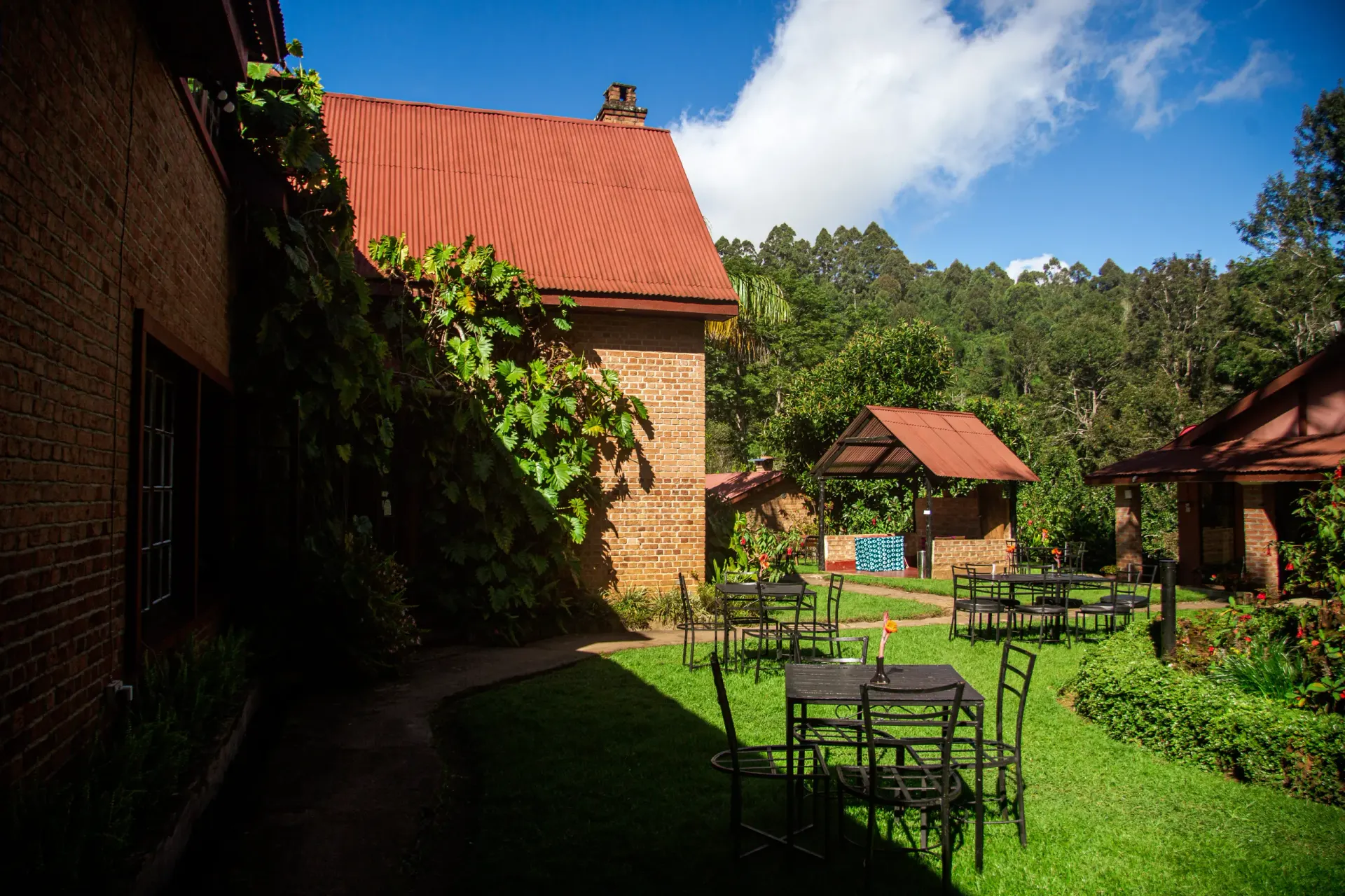 The brick main house with its red gabled roof on the rise above the lawn, framed by tall pines