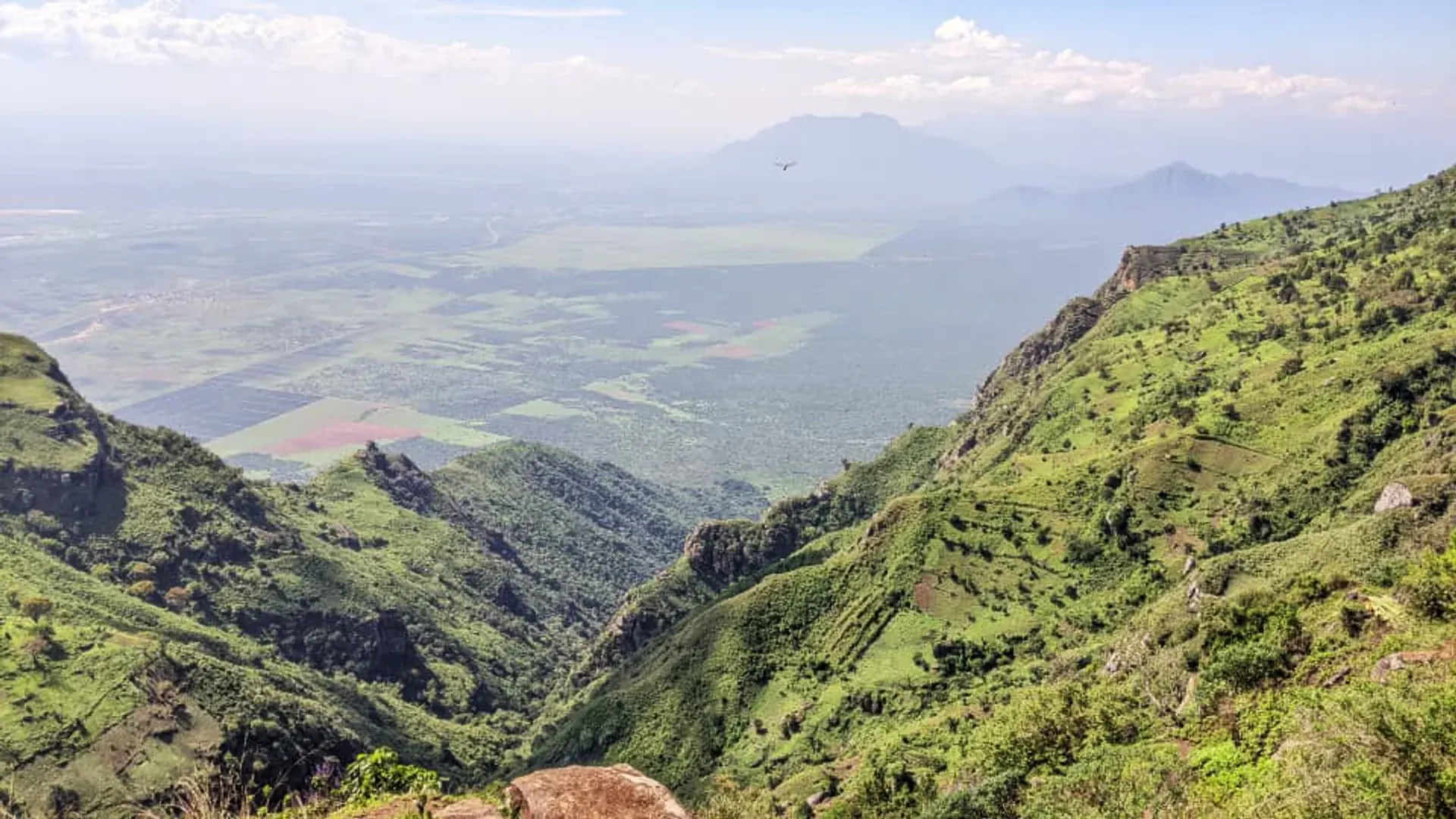 Guided activities in the West Usambara highlands — a forest trail winding through the green mountains