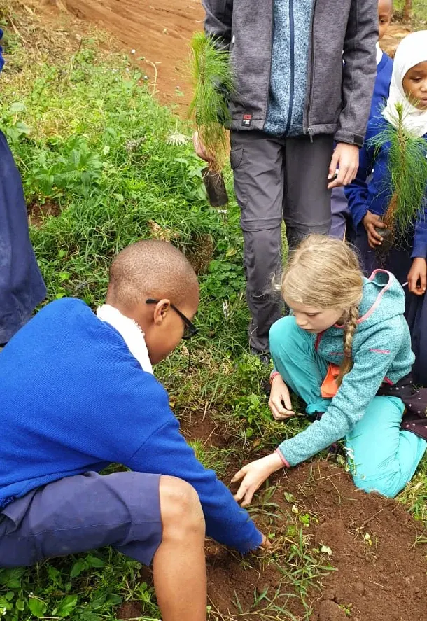 Schoolchildren and a young visitor planting pine seedlings together during the October planting drive