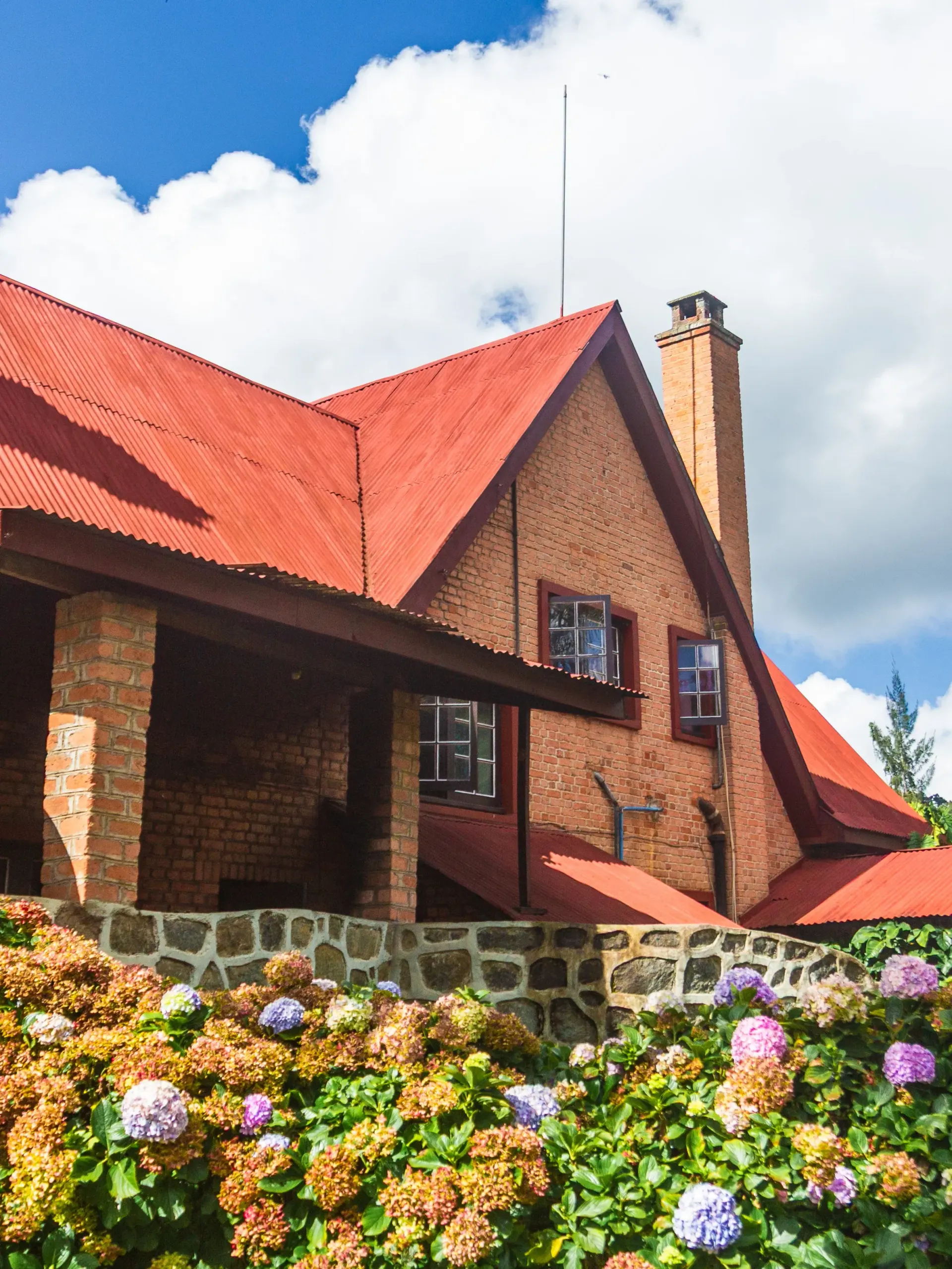 The brick farmhouse at Mullers, its red roof and chimney rising above a stone wall banked with orange and purple hydrangeas
